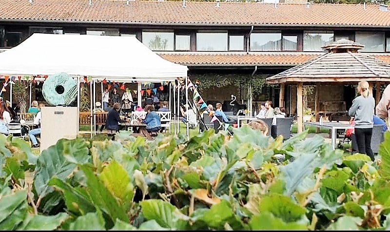 Foto af festivalpladsen på Blindstock