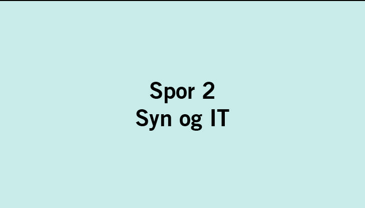 Tekst: Spor 2: Syn & IT