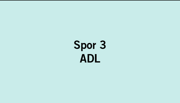 Tekst: Spor 3: ADL