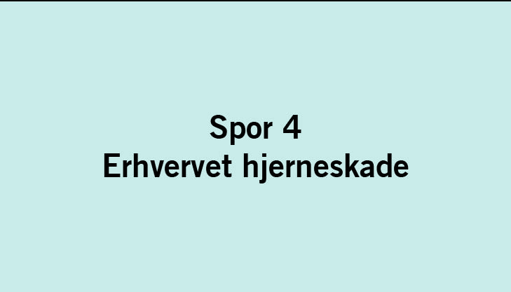 Spor 4_ Erhvervet hjerneskade