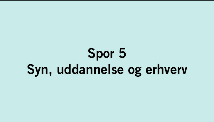 Tekst: Spor 5: Syn, uddannelse og erhverv